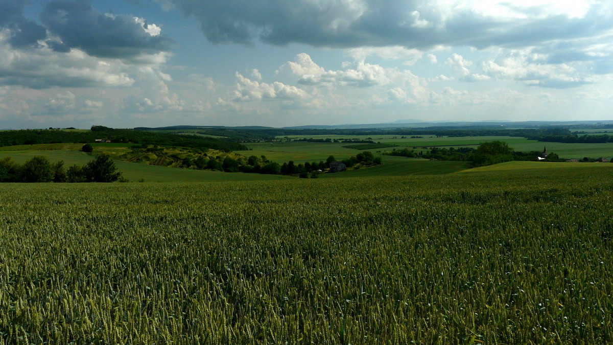 Krajina 1