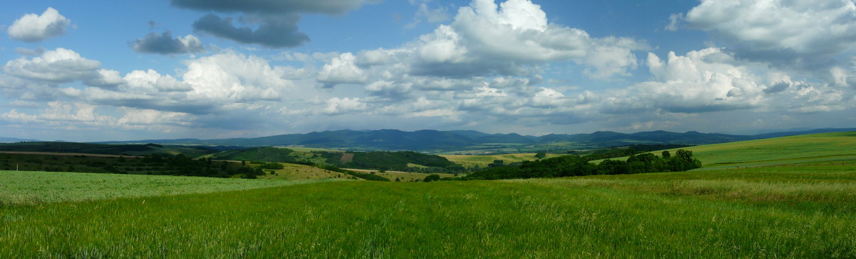 Boržoň
